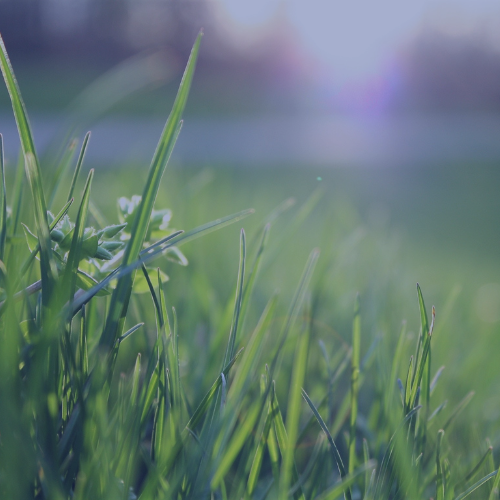 V2 Green CO2 website article image PWCL.png