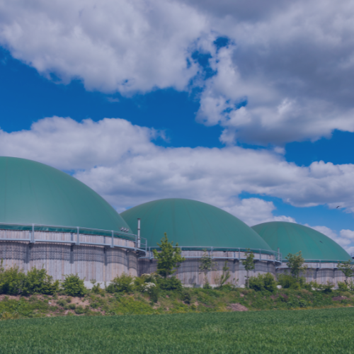 The future is renewable PWCL website article v2.png