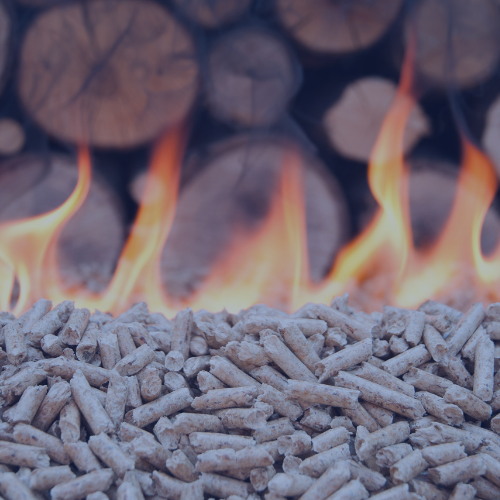 Is biomass carbon neutral  PWCL website image.png