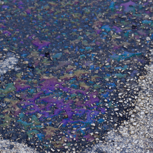 Could we just stop using oil PWCL website article image-min.png