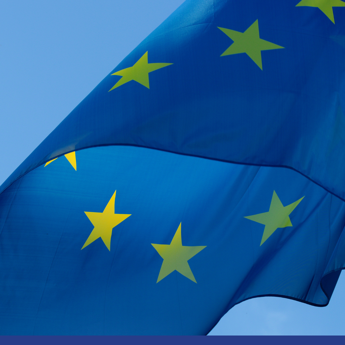 bbbb coalition EU construction PWCL  website article image.png