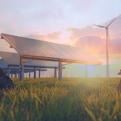 What do Reform UK and other political parties have in store for green policies PWCL website article image.png