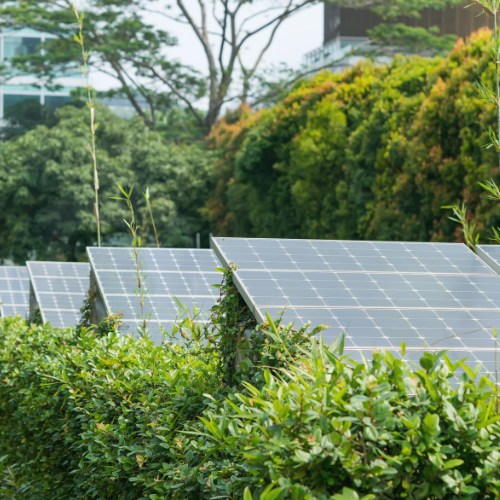 Most Brits want renewable energy solutions PWCL website article image (1).png