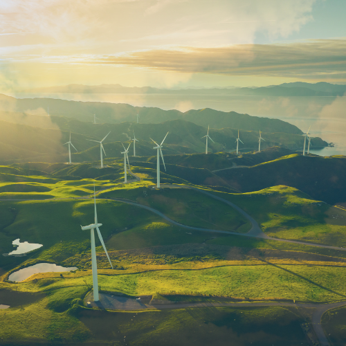 How will the Autumn 2024 budget impact the renewable energy sector PWCL website image.png