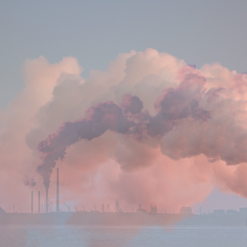 PWCLCarbon Capture and climate change website article image (500 x 500 px).png
