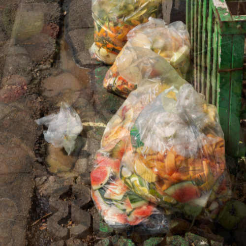 Food waste regulations march 2025 website article image (500 x 500 px).png
