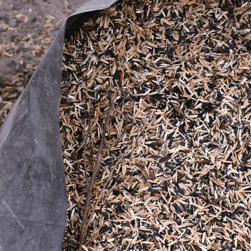 Welsh Biomass Plant Set For Demolition Following Planning Row Project Management PWCL 2025 (500 x 500 px).png