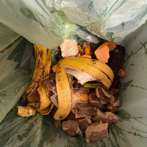 V3 ABP Campaign social media graphics with logos (500 x 500 px).png